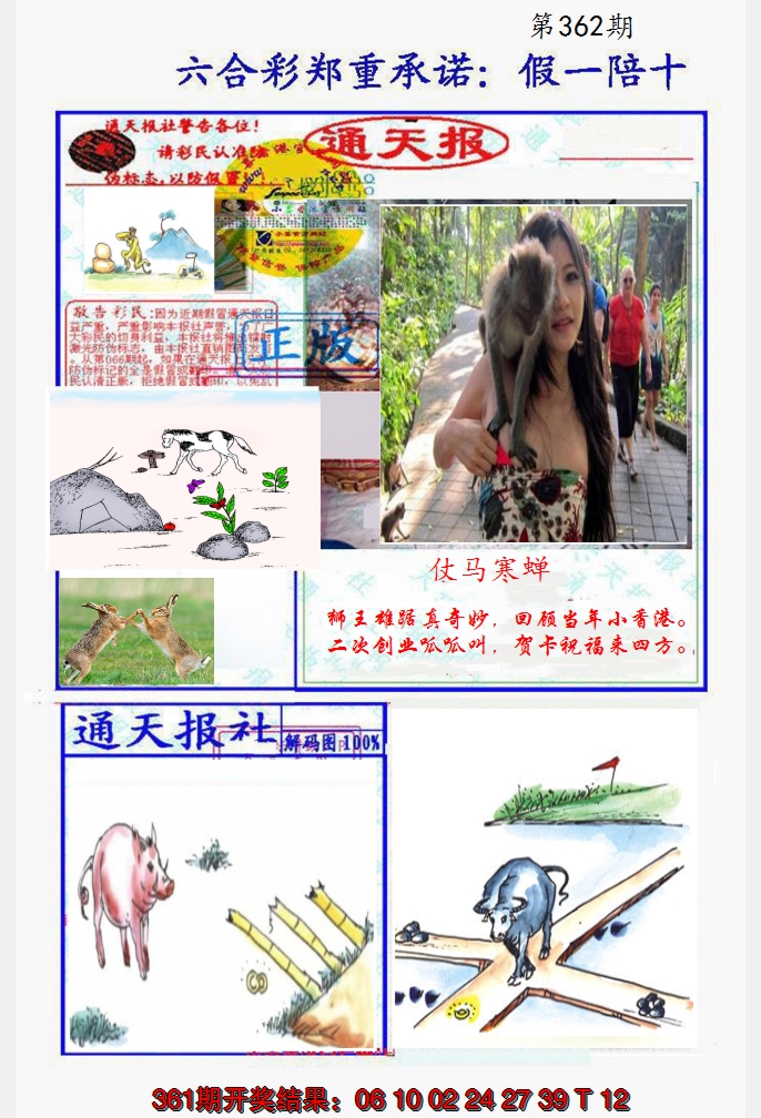 2024362期假一陪十通天报
