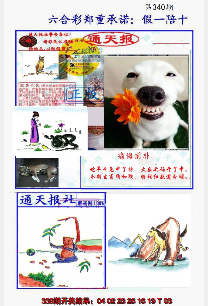 2024340期假一陪十通天报