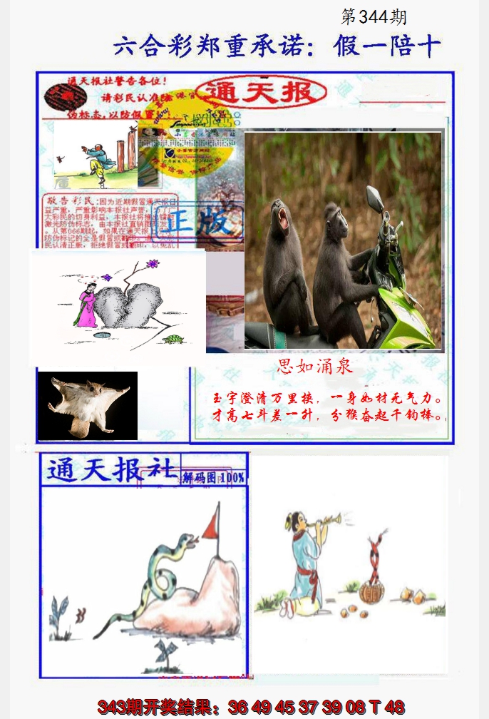 2024344期假一陪十通天报
