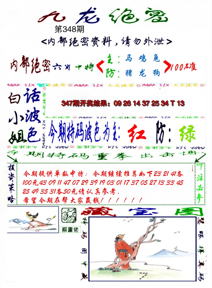 2024348期九龙密报