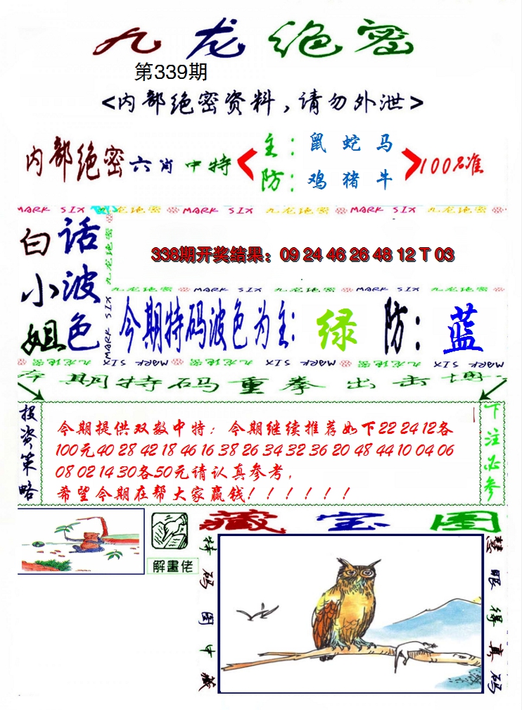 2024339期九龙密报