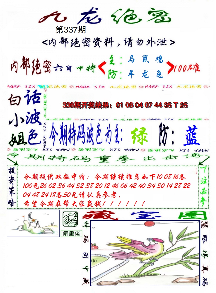 2024337期九龙密报