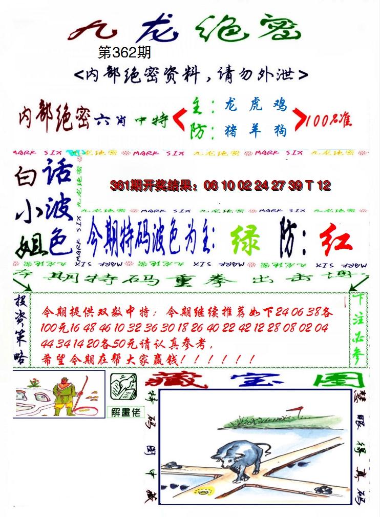 2024362期九龙密报
