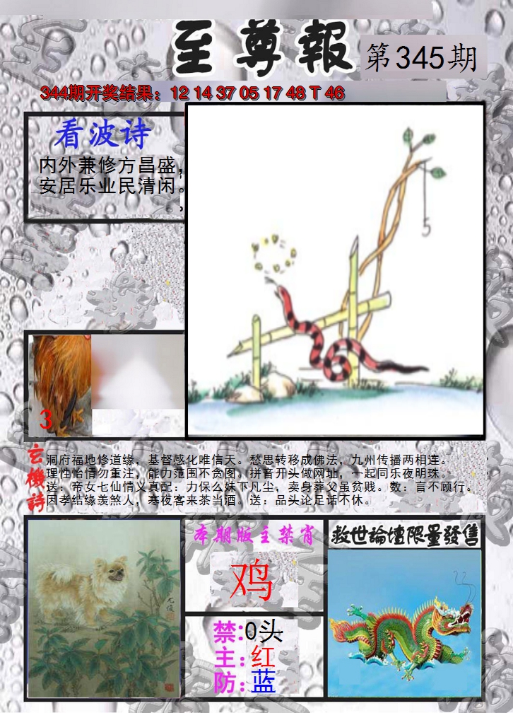 2024345期至尊报