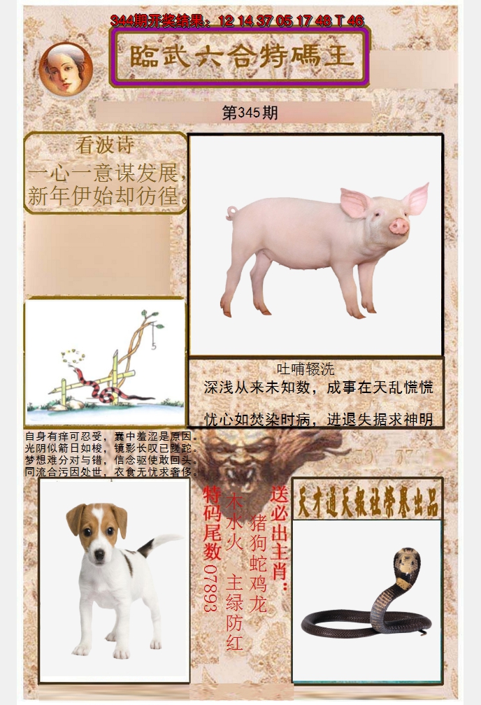 2024345期临武六合特码王
