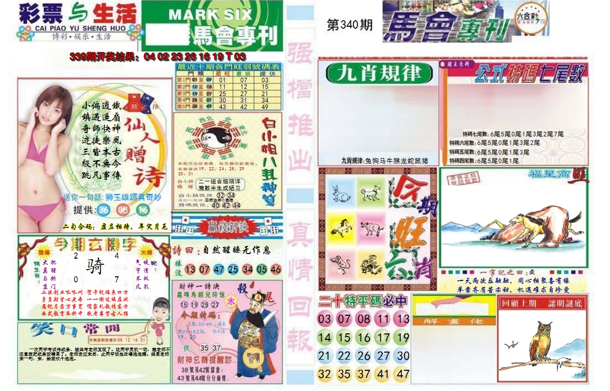 2024340期马会专刊A