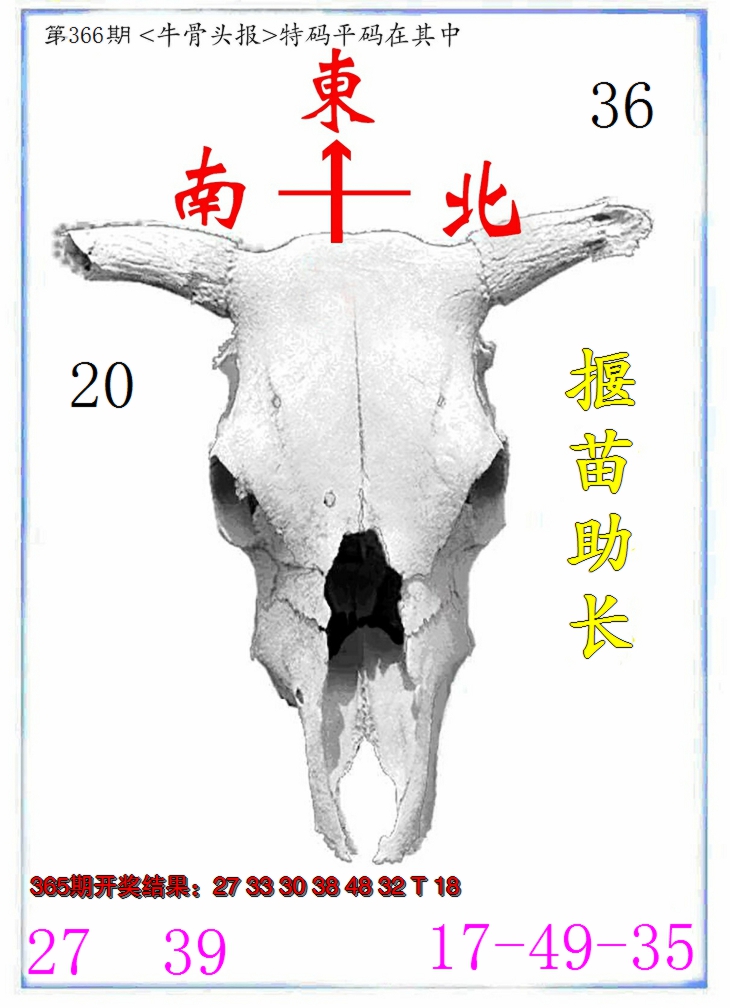 2024366期牛派系列7