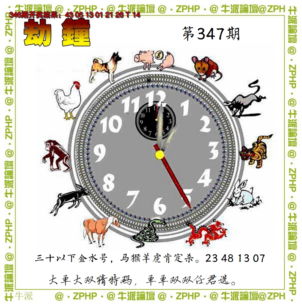 2024347期牛派系列4