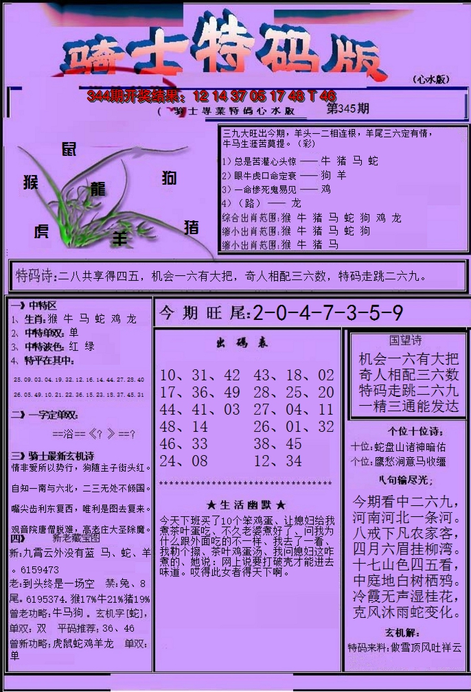 2024345期骑士特码版