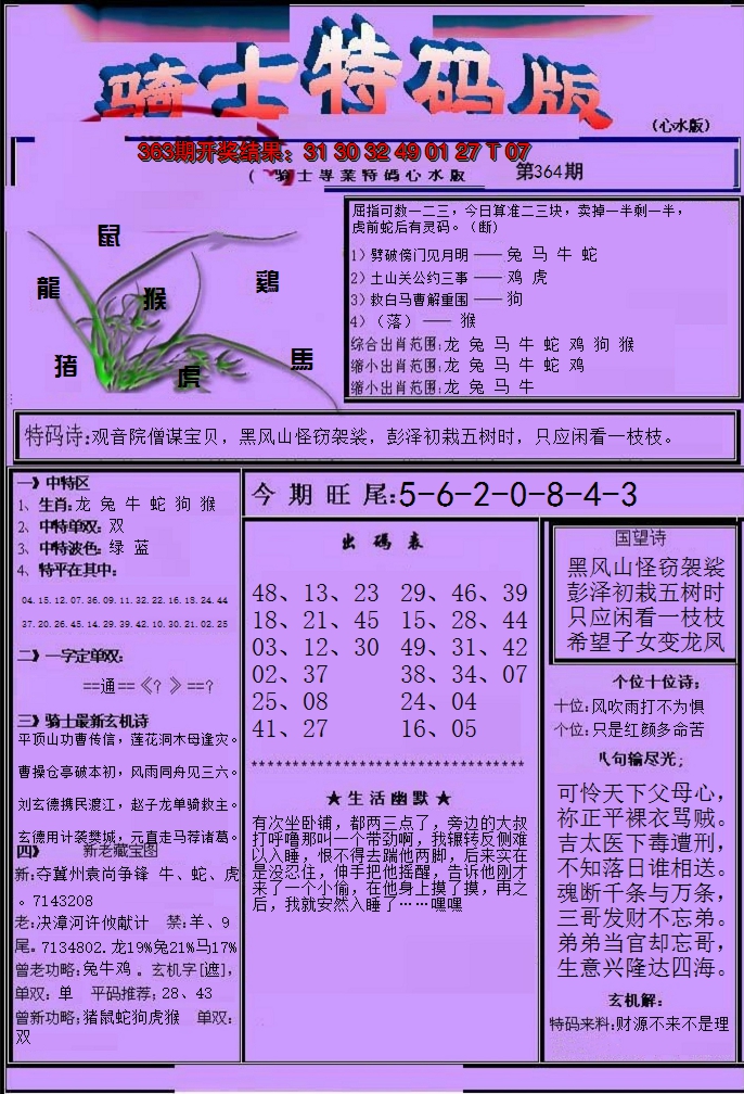 2024364期骑士特码版