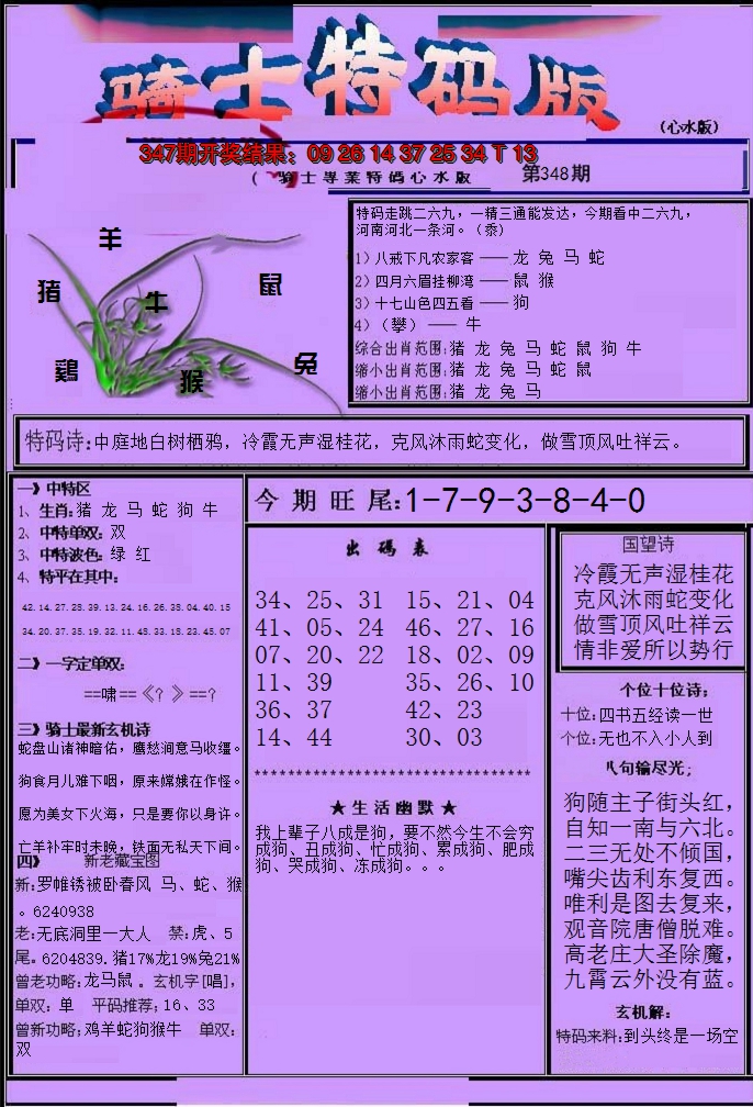 2024348期骑士特码版