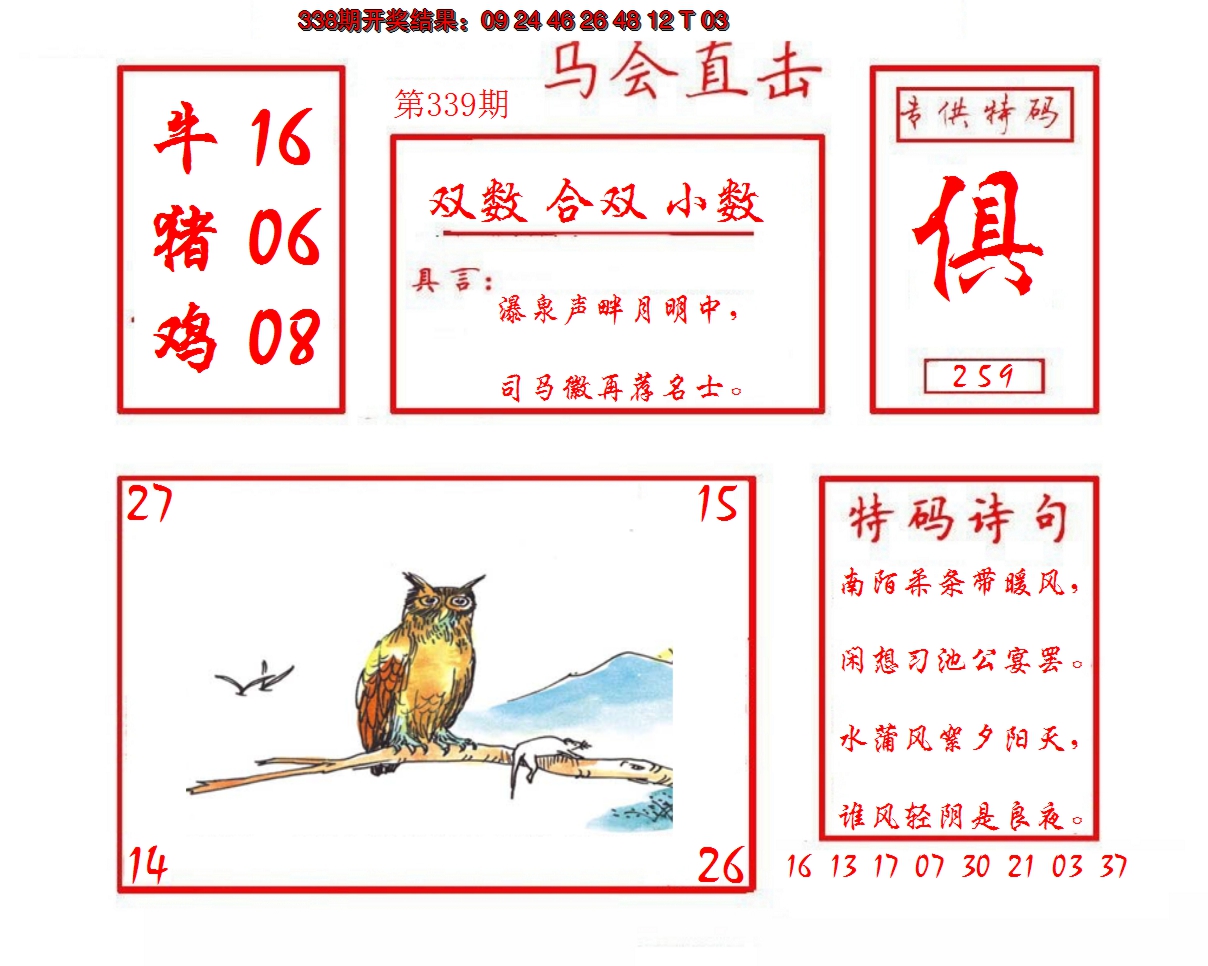 2024339期马会直击
