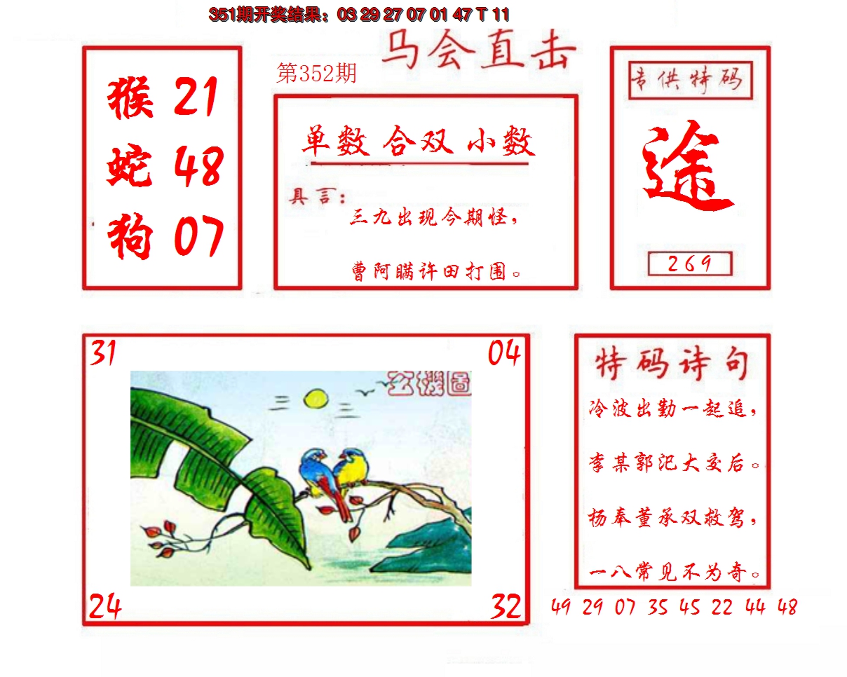 2024352期马会直击