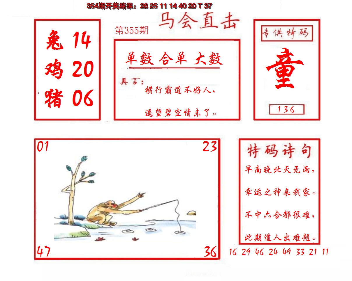 2024355期马会直击