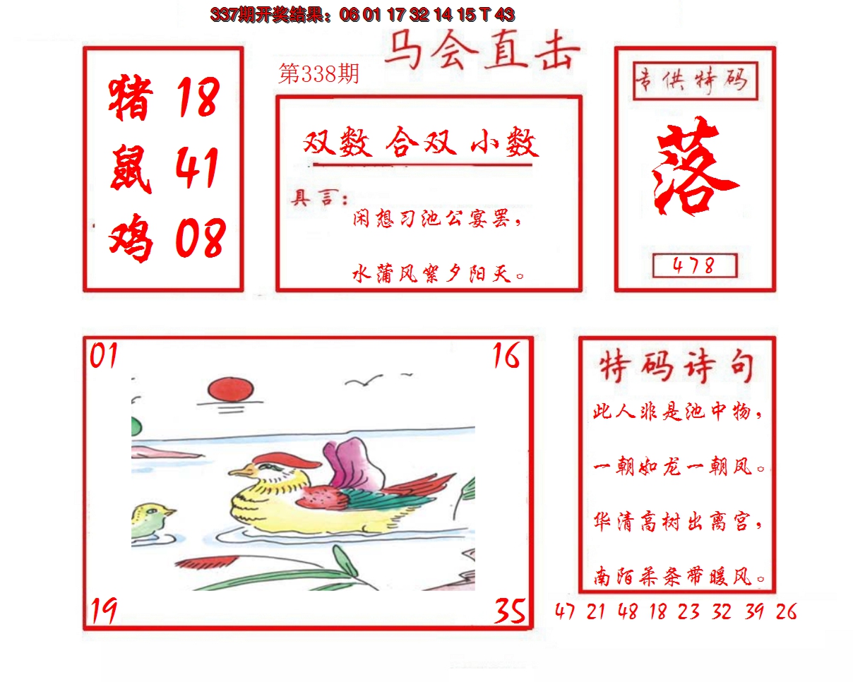 2024338期马会直击