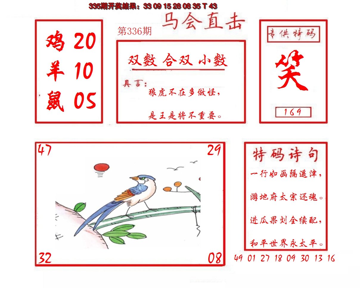 2024336期马会直击