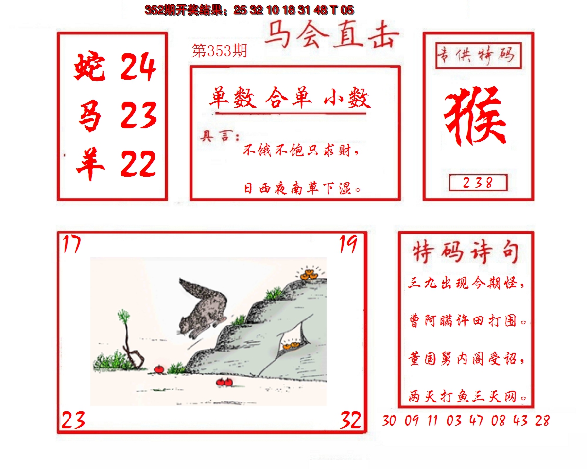 2024353期马会直击