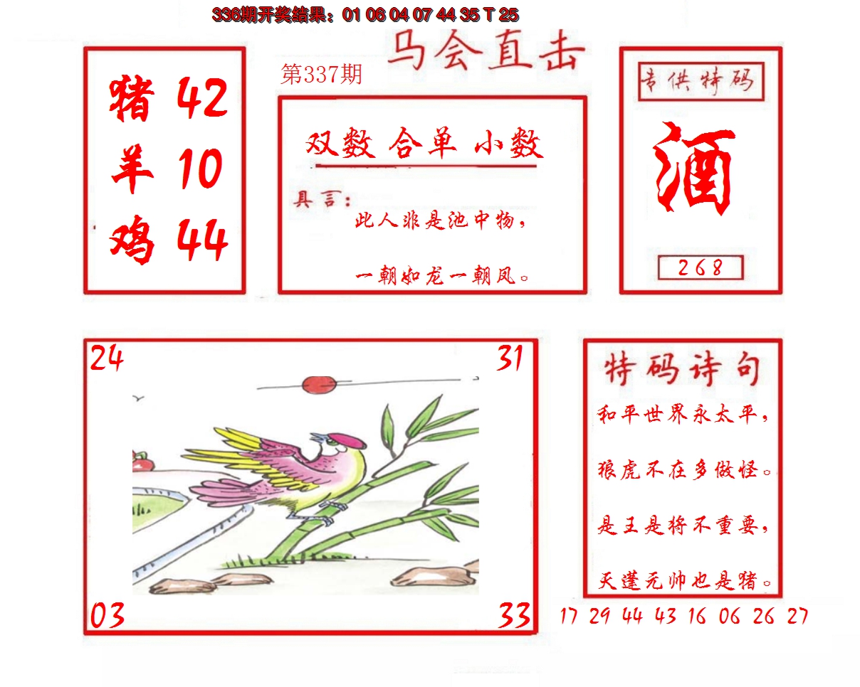 2024337期马会直击