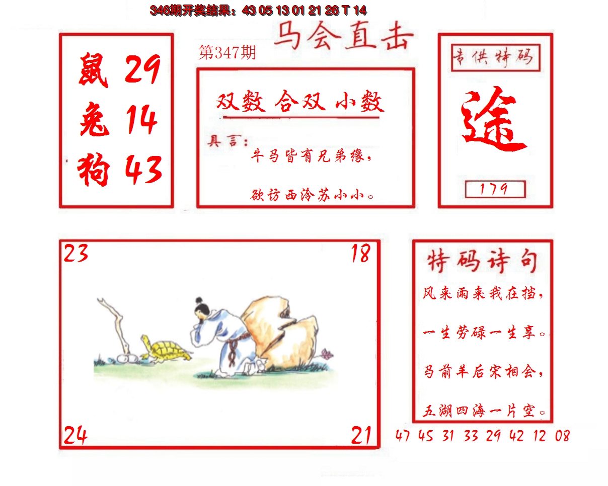 2024347期马会直击