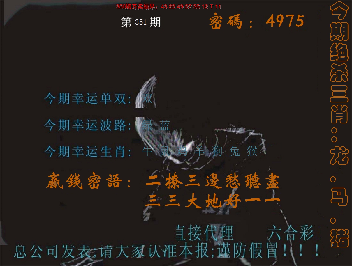 2024351期特码报