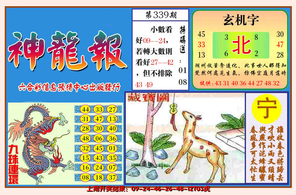 2024339期神龙报