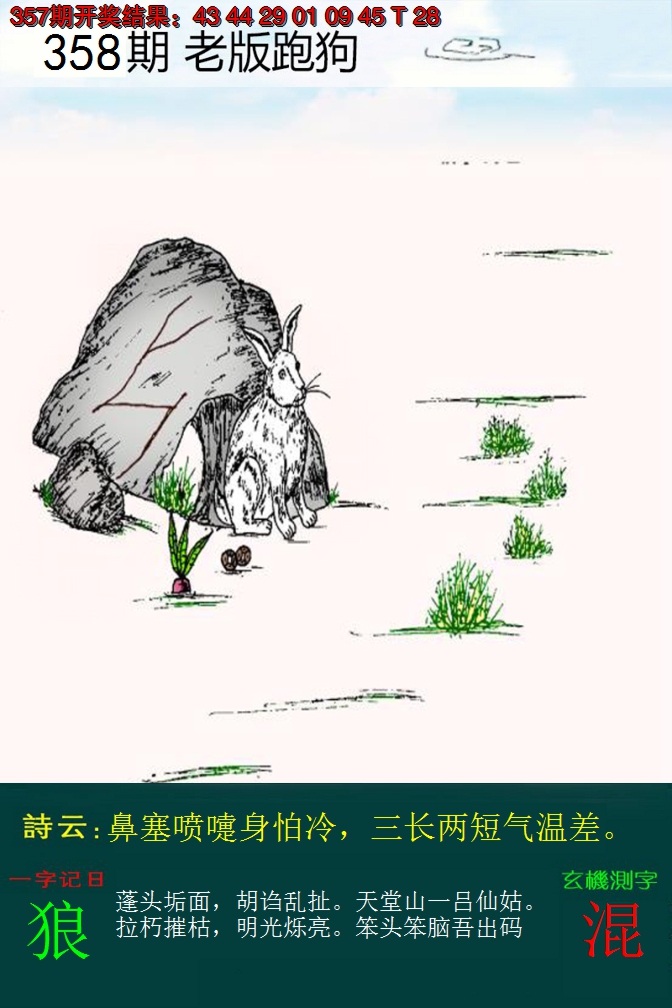 2024358期老版跑狗