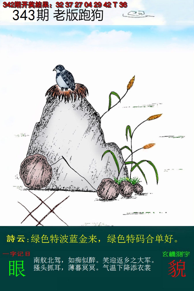 2024343期老版跑狗