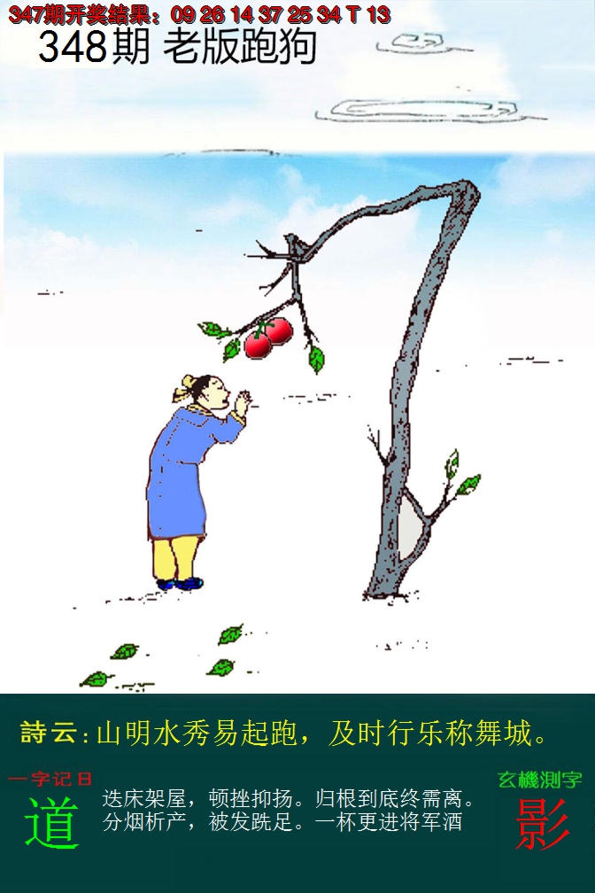2024348期老版跑狗