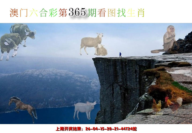 2024365期看图找生肖