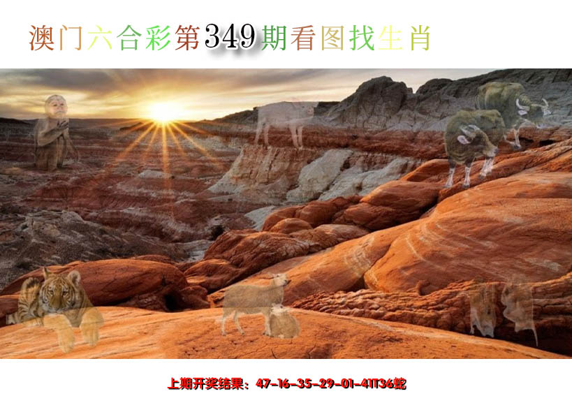 2024349期看图找生肖