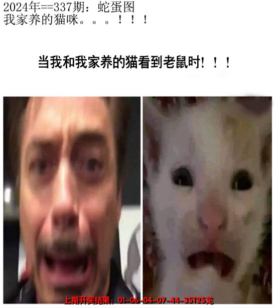 2024337期另版蛇蛋图