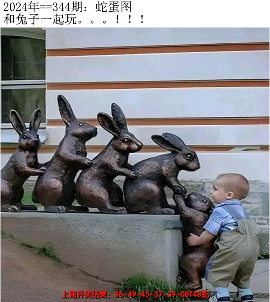 2024344期另版蛇蛋图