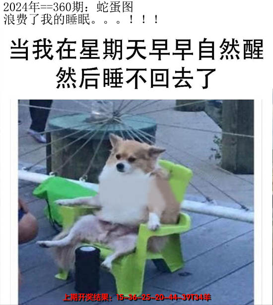 2024360期另版蛇蛋图