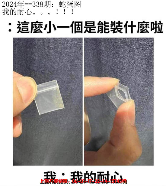 2024338期另版蛇蛋图