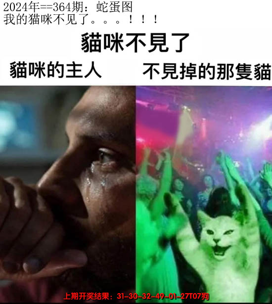 2024364期另版蛇蛋图