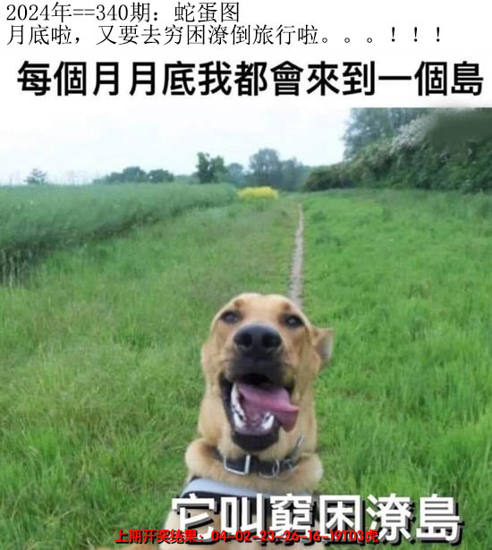 2024340期另版蛇蛋图