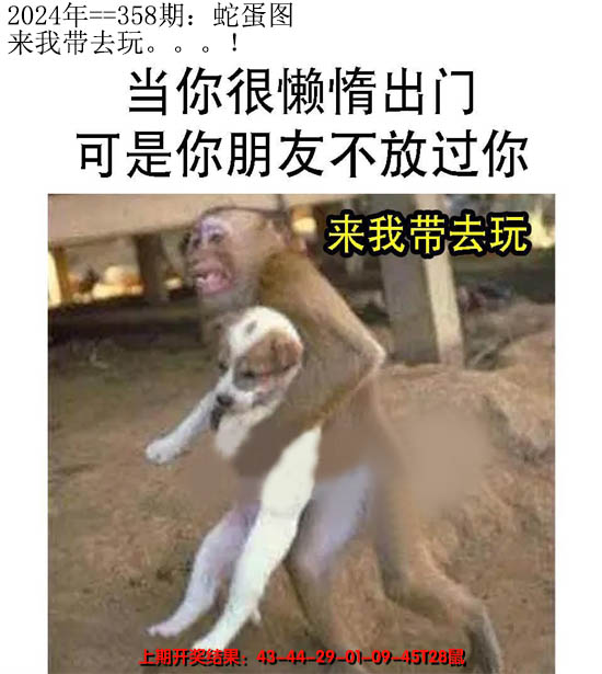 2024358期另版蛇蛋图