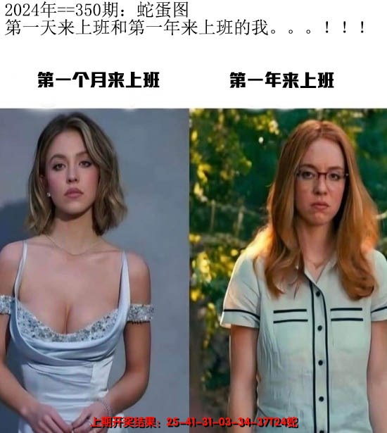 2024350期另版蛇蛋图