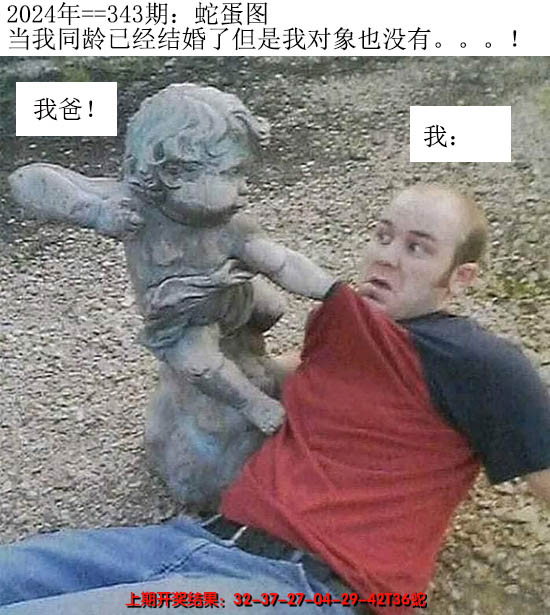 2024343期另版蛇蛋图