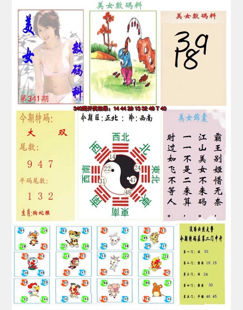 2024341期美女数码料