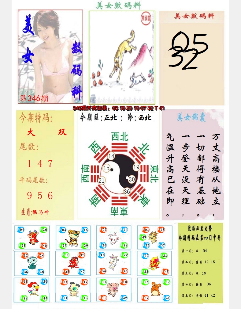 2024346期美女数码料