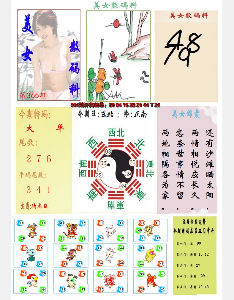 2024365期美女数码料