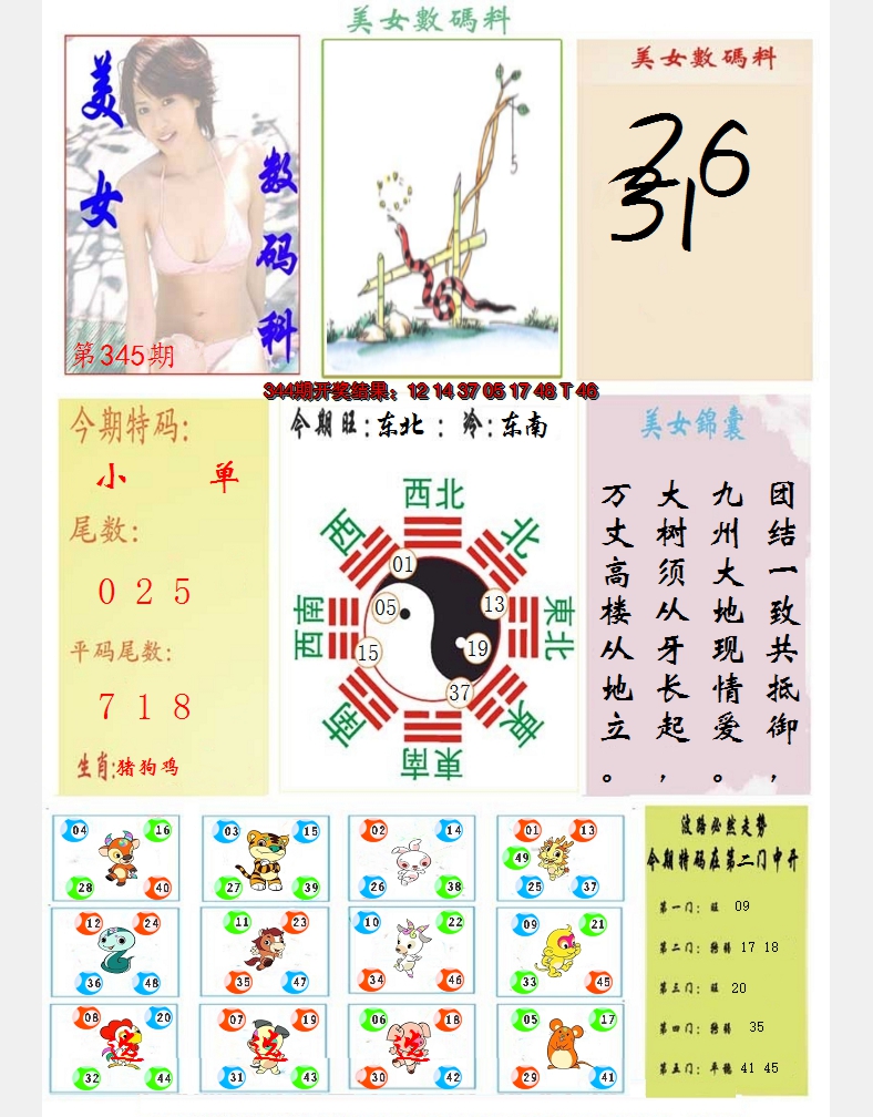 2024345期美女数码料