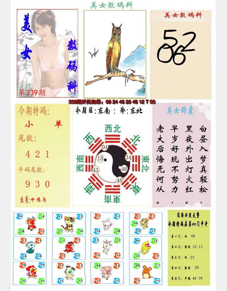 2024339期美女数码料