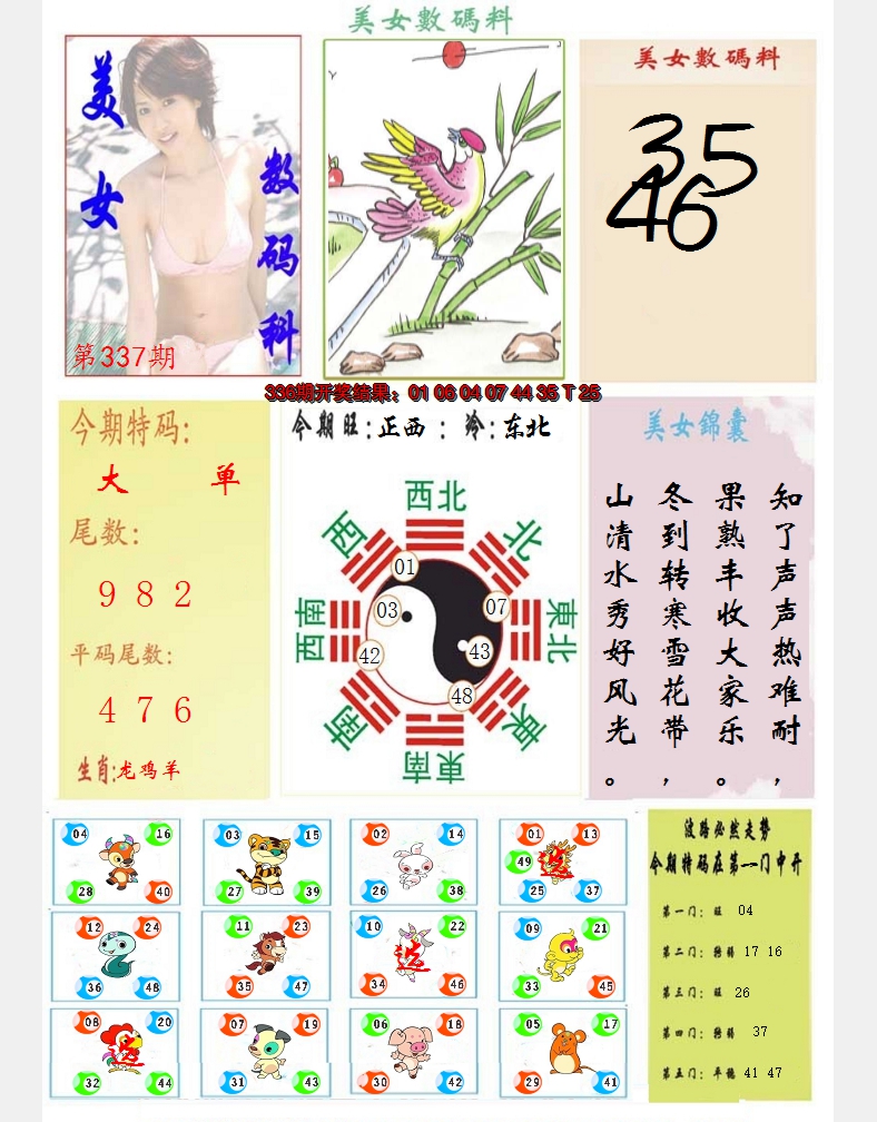 2024337期美女数码料