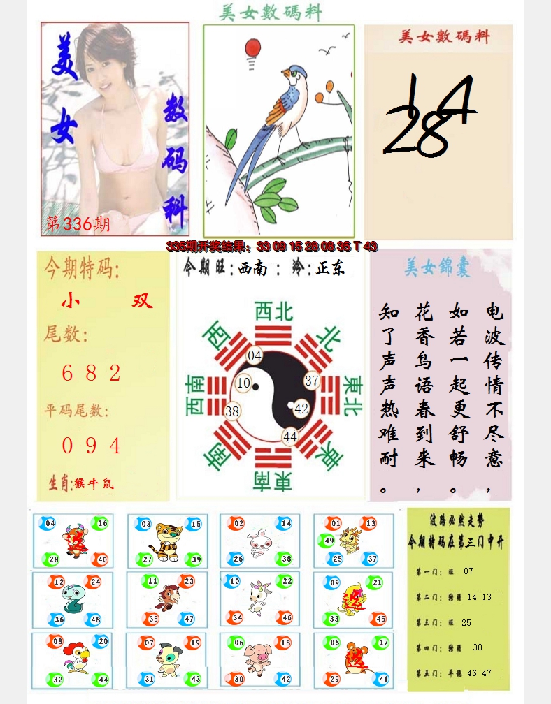2024336期美女数码料
