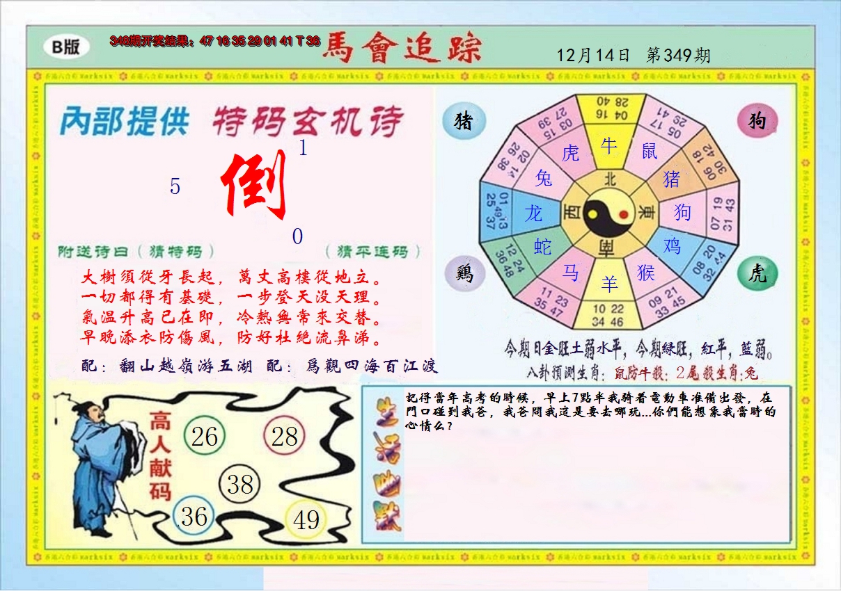 2024349期马会追踪B