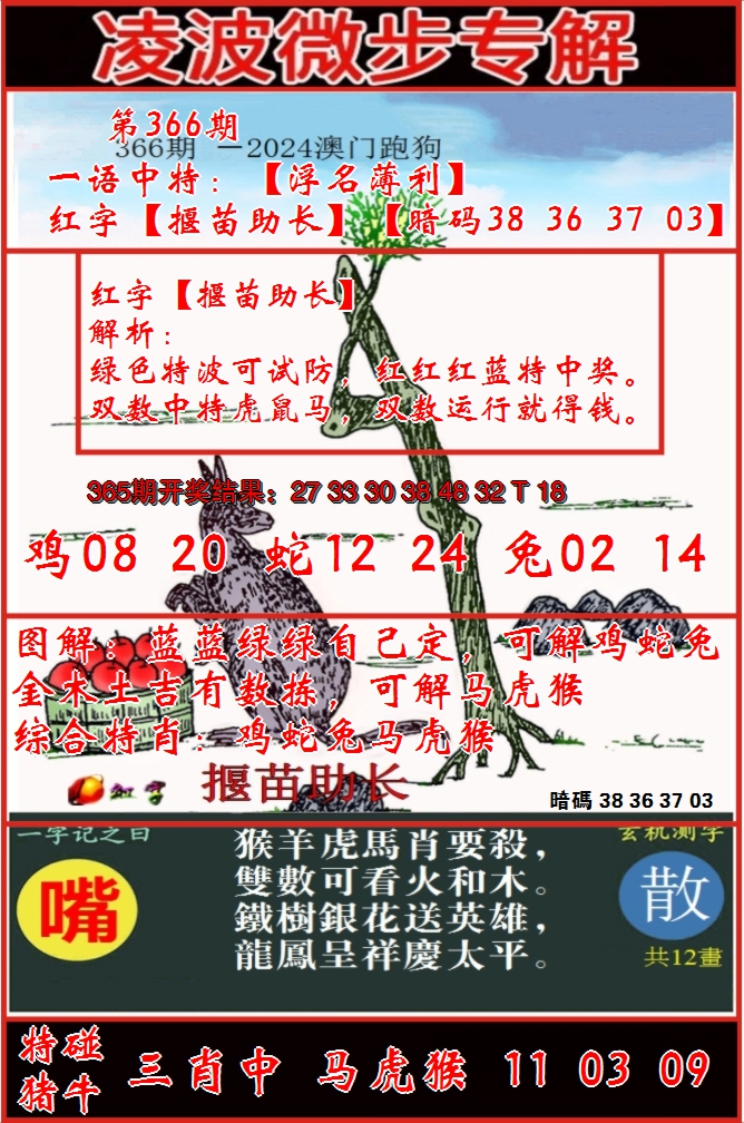 2024366期凌波微步
