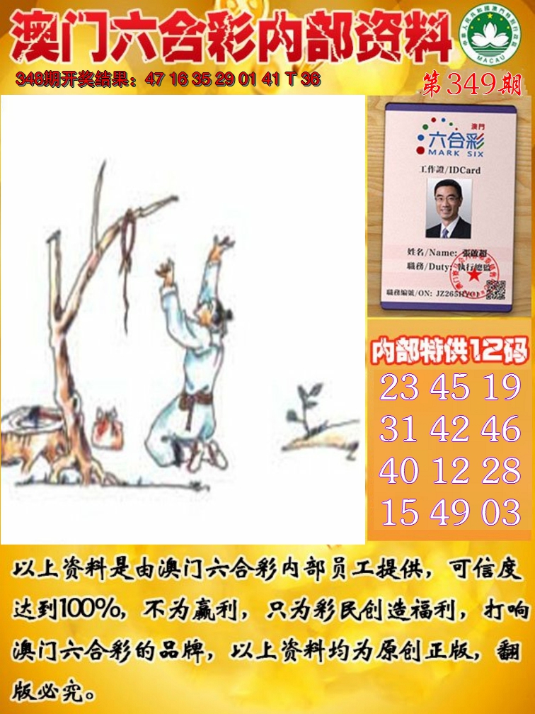 2024349期六合内部资料