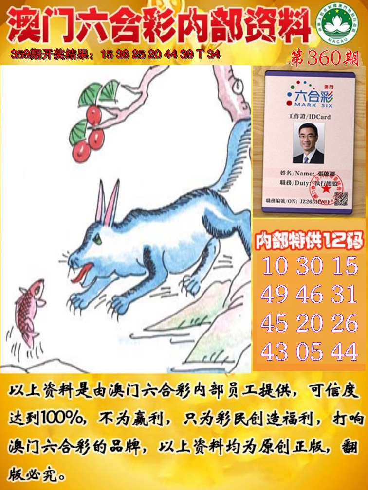 2024360期六合内部资料